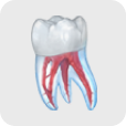 Dental graphics app icon